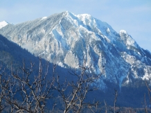 Mountain Vista Suites - alloggio in  Rucar - Bran, Piatra Craiului, Rasnov (03)