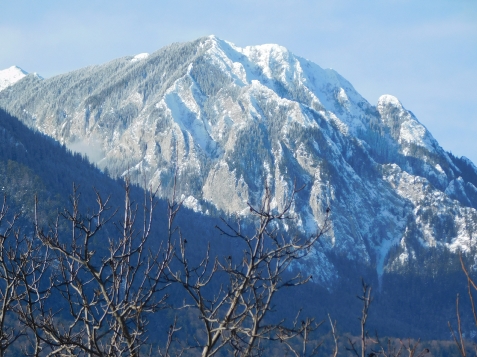 Mountain Vista Suites - cazare Rucar - Bran, Piatra Craiului, Rasnov (Activitati si imprejurimi)