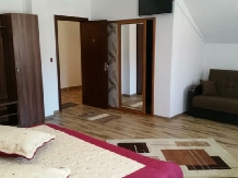 Pensiunea Minodora - accommodation in  North Oltenia (19)