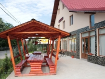 Pensiunea Minodora - accommodation in  North Oltenia (23)