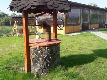 Vila Tadi - accommodation in  Fagaras and nearby (03)