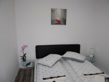 Vila Tadi - accommodation in  Fagaras and nearby (06)