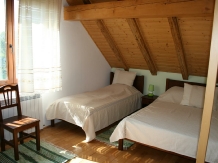 Agropensiunea Albinuta - accommodation in  Transylvania (12)