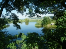 Agropensiunea Albinuta - accommodation in  Transylvania (36)