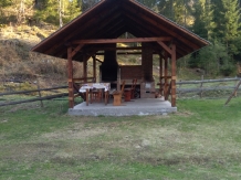 Cabana Georgiana - accommodation in  Apuseni Mountains, Motilor Country, Arieseni (24)
