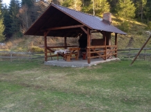 Cabana Georgiana - accommodation in  Apuseni Mountains, Motilor Country, Arieseni (25)