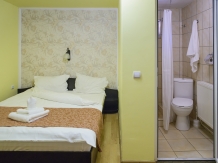 Pensiunea Darian si David - accommodation in  Sibiu Surroundings (09)