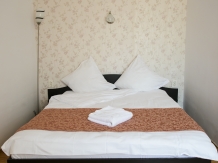 Pensiunea Darian si David - accommodation in  Sibiu Surroundings (11)