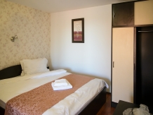 Pensiunea Darian si David - accommodation in  Sibiu Surroundings (13)