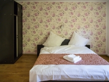 Pensiunea Darian si David - accommodation in  Sibiu Surroundings (14)