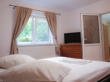Marginimea Sibiului - Pensiunea Darian si David - accommodation in  Sibiu Surroundings (14)