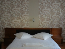 Pensiunea Darian si David - accommodation in  Sibiu Surroundings (16)