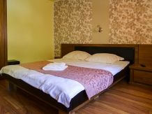 Pensiunea Darian si David - accommodation in  Sibiu Surroundings (18)