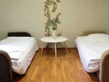 Pensiunea Darian si David - accommodation in  Sibiu Surroundings (18)