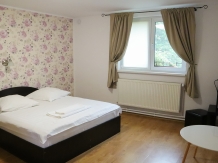 Marginimea Sibiului - Pensiunea Darian si David - accommodation in  Sibiu Surroundings (25)