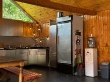 Marginimea Sibiului - Pensiunea Darian si David - accommodation in  Sibiu Surroundings (39)