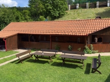 Marginimea Sibiului - Pensiunea Darian si David - accommodation in  Sibiu Surroundings (43)