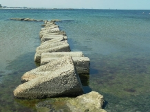 Steluta de mare - alloggio in  Mar Nero (15)