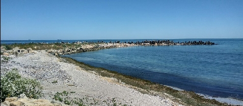 Steluta de mare - accommodation in  Black Sea (Surrounding)