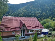 Rural accommodation at  Cabana Mesteacanul