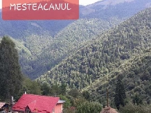 Cabana Mesteacanul - accommodation in  Apuseni Mountains (03)