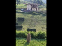 Popasul verde - cazare Bistrita (28)