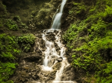 Popasul verde - alloggio in  Bistrita (32)