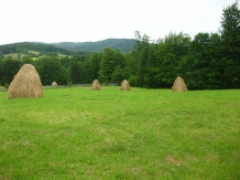 Cabana Mea - alloggio in  Valea Doftanei (29)