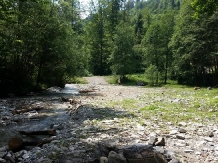 Cabana Mea - alloggio in  Valea Doftanei (33)