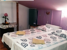 Hostel Pascalis - accommodation in  Crisana (19)