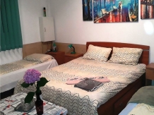 Hostel Pascalis - accommodation in  Crisana (22)