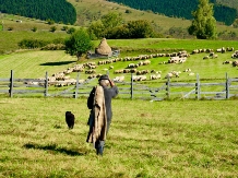 Agramonia-Stejarisu - alloggio in  Transilvania (15)