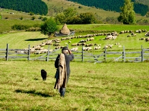 Agramonia-Stejarisu - cazare Transilvania (15)