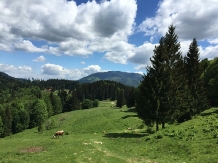 Garsoniera "Spa-ul Schiorilor" - alloggio in  Valle di Prahova (11)