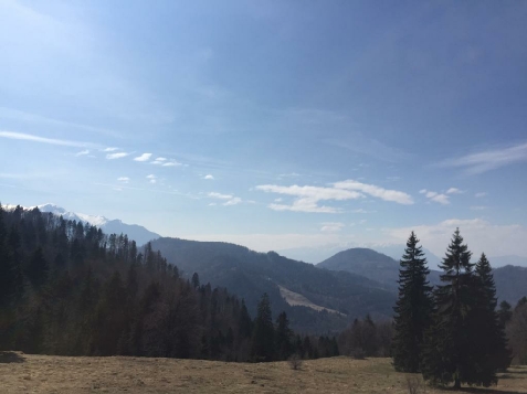 Garsoniera "Spa-ul Schiorilor" - alloggio in  Valle di Prahova (Attivit&agrave; e i dintorni)