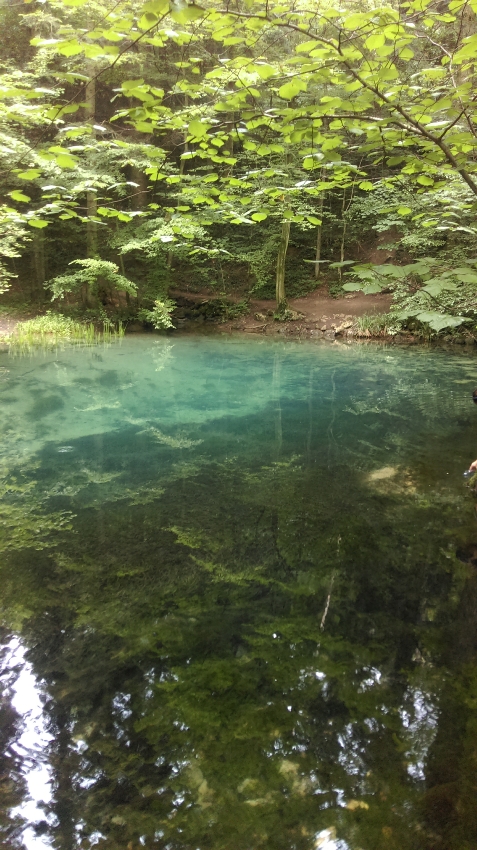 Agropensiunea Floarea Almajului - cazare Banat (Activitati si imprejurimi)