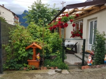 Casa Farcas - accommodation in  Prahova Valley (01)