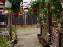 Casa Farcas - alloggio in  Valle di Prahova (35)