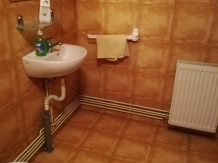 Pensiunea Meridian - cazare Apuseni, Belis (43)