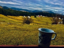 Cabana Poiana Dealul Frumos - alloggio in  Apuseni, Tara Motilor, Arieseni (04)