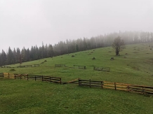 Cabana Poiana Dealul Frumos - alloggio in  Apuseni, Tara Motilor, Arieseni (23)