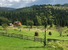 Cabana Poiana Dealul Frumos - accommodation in  Apuseni Mountains, Motilor Country, Arieseni (26)