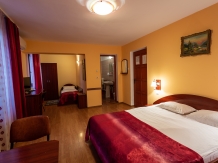 Pensiunea Casa Porojan - accommodation in  Baile Felix (32)