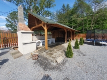 Cabana Vulpea 2 - alloggio in  Sovata - Praid (23)