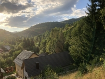 Pensiunea Agroturistica Crisan - accommodation in  Apuseni Mountains, Motilor Country, Arieseni (24)