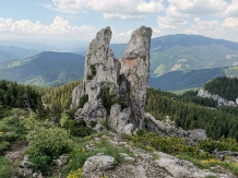 lapeCasa Doina - cazare Vatra Dornei, Bucovina (10)