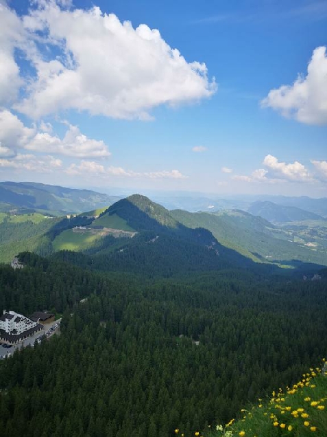 lapeCasa Doina - cazare Vatra Dornei, Bucovina (Activitati si imprejurimi)