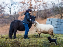 Pensiunea SilvAnka - alloggio in  Vallata di Brasov (38)