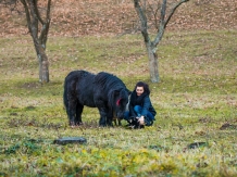 Pensiunea SilvAnka - alloggio in  Vallata di Brasov (39)