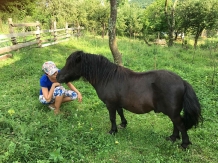 Pensiunea SilvAnka - alloggio in  Vallata di Brasov (44)